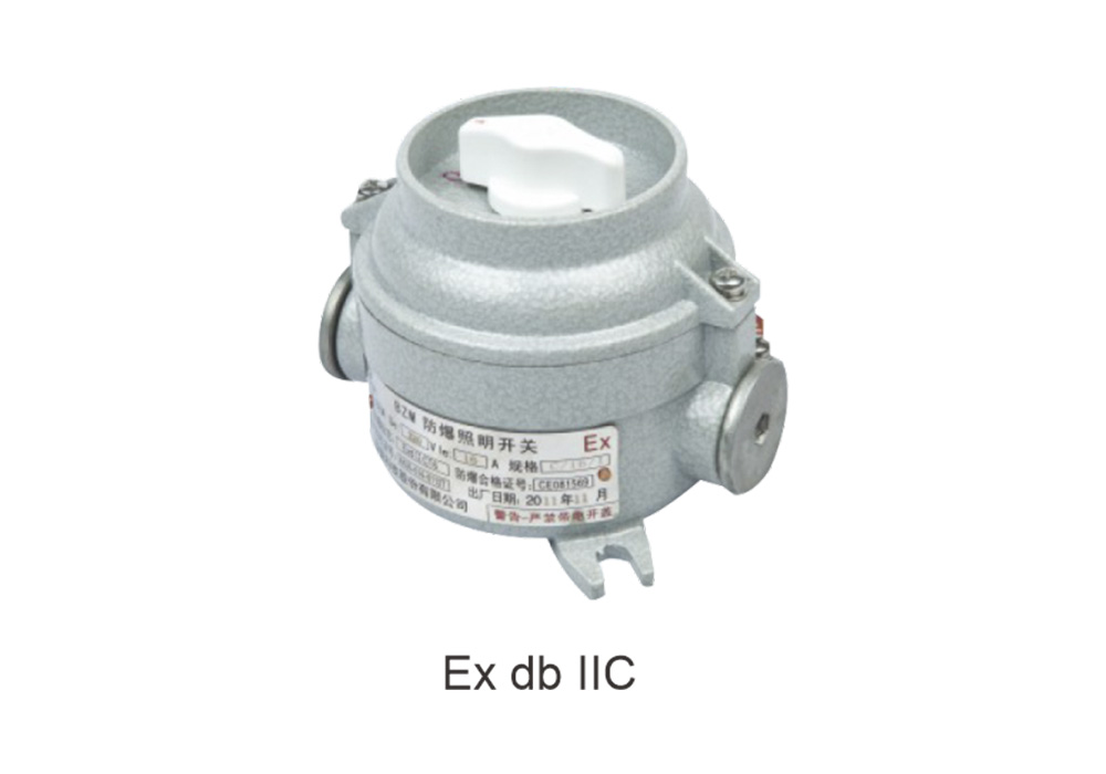 se series explosion proof lighting (changeover) switches d2