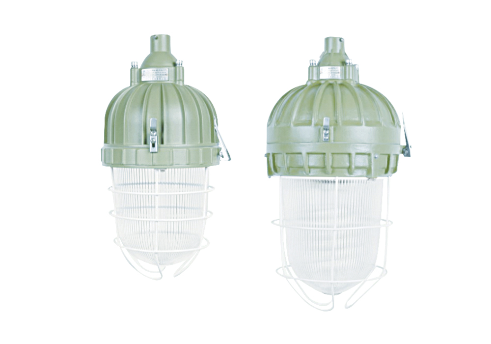 SED55系列防爆紧凑型节能灯