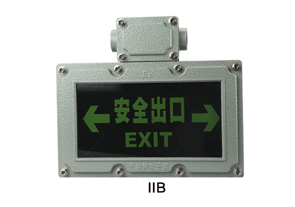 seyd explosion proof exit sign lighting d1