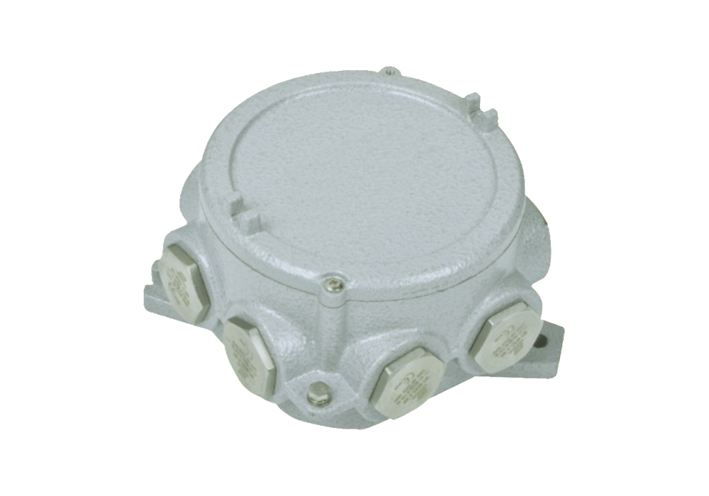 SEAH91-系列防爆接线盒